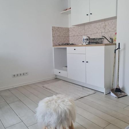 Cute Modern Apartman Zagreb Apartment Exterior foto